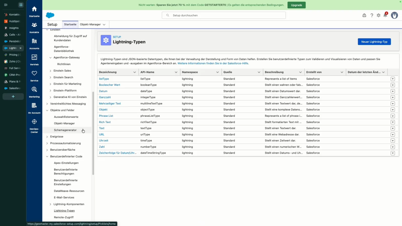 Salesforce Setup mit der Liste der Lightning Typen und einer langen Navigation auf der linken Seite